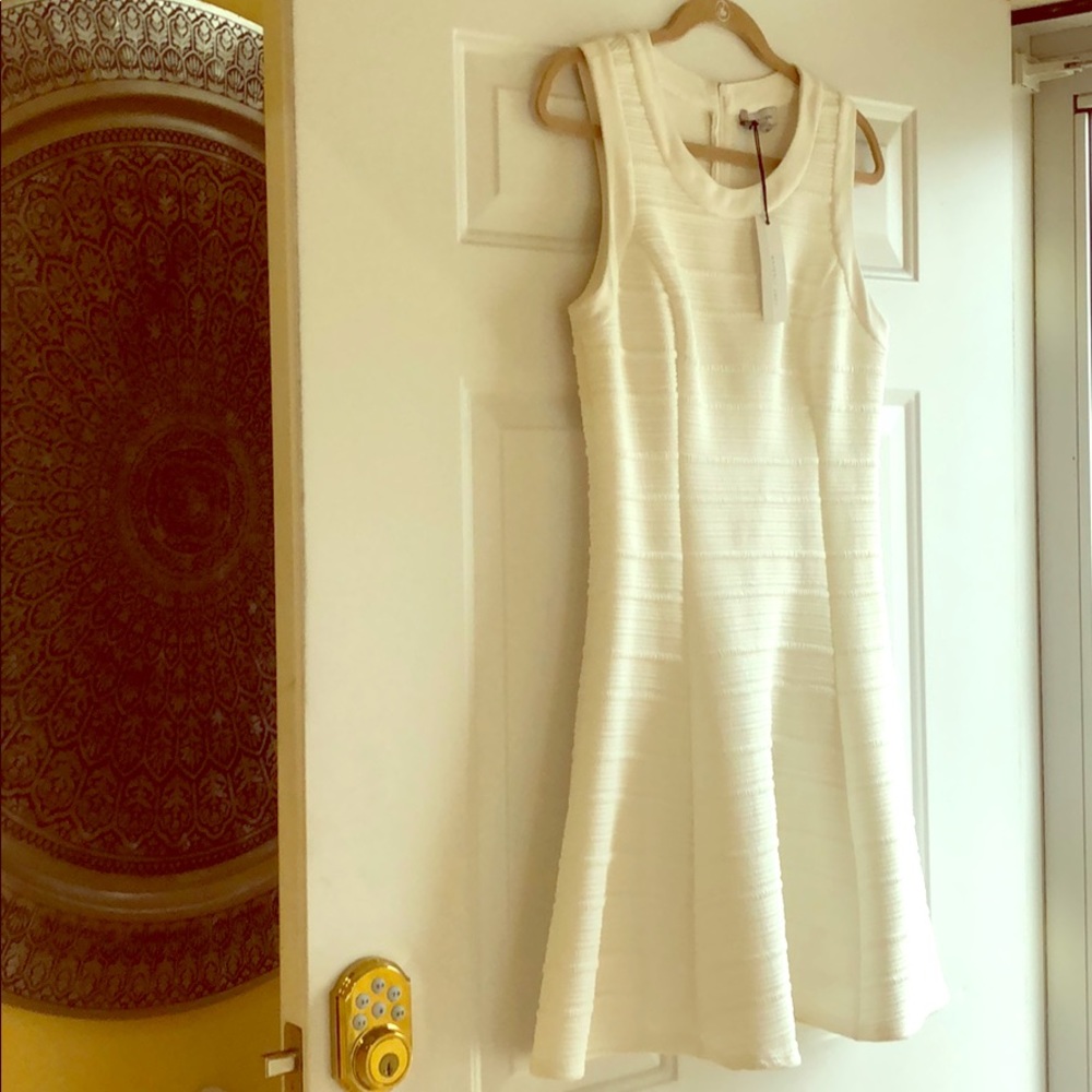 NWT Waverly Grey White dress size 10